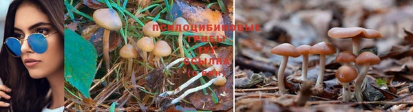 молекула духа Беломорск