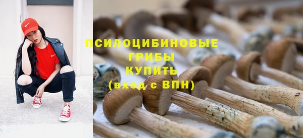 молекула духа Беломорск