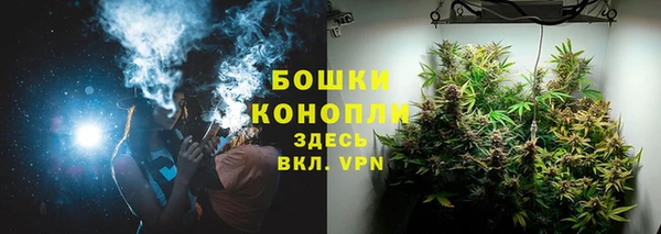 молекула духа Беломорск