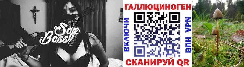 Галлюциногенные грибы Cubensis  мега ССЫЛКА  Чегем  цена наркотик 