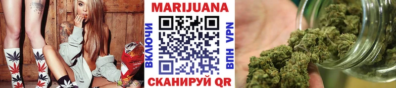 Канабис семена Чегем